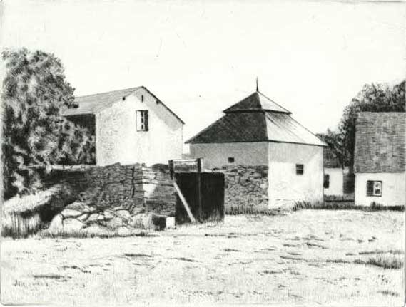 Katthammarsvik, torrnål